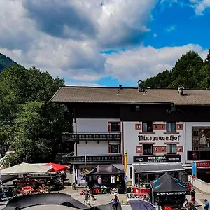 Отель Pinzgauerhof & Bike - Inclusive Evening Dinner ***