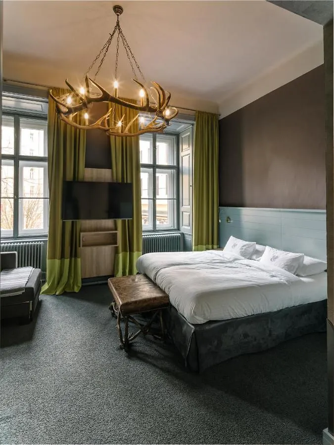 Saint SHERMIN bed breakfast&champagne Vienne
