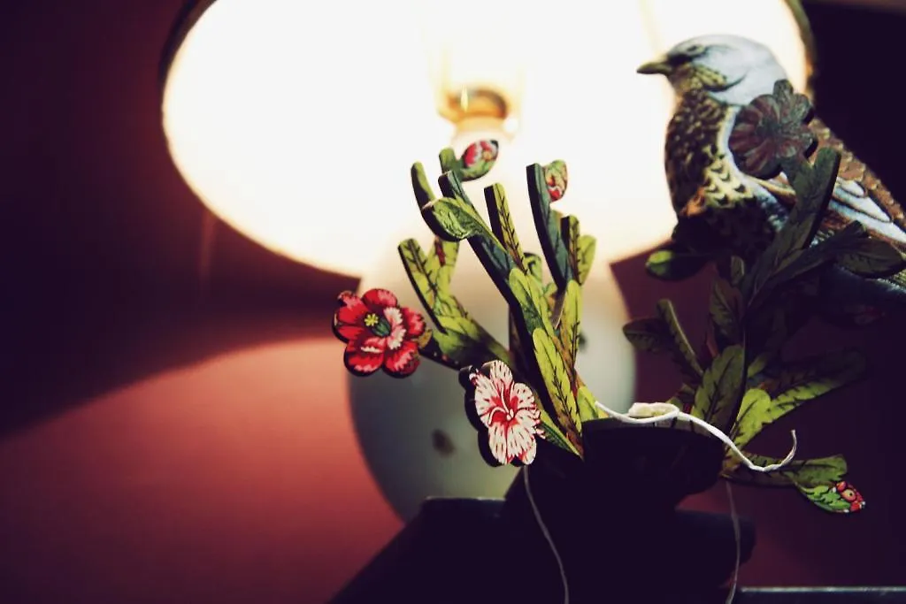 Saint SHERMIN bed breakfast & champagne Wien